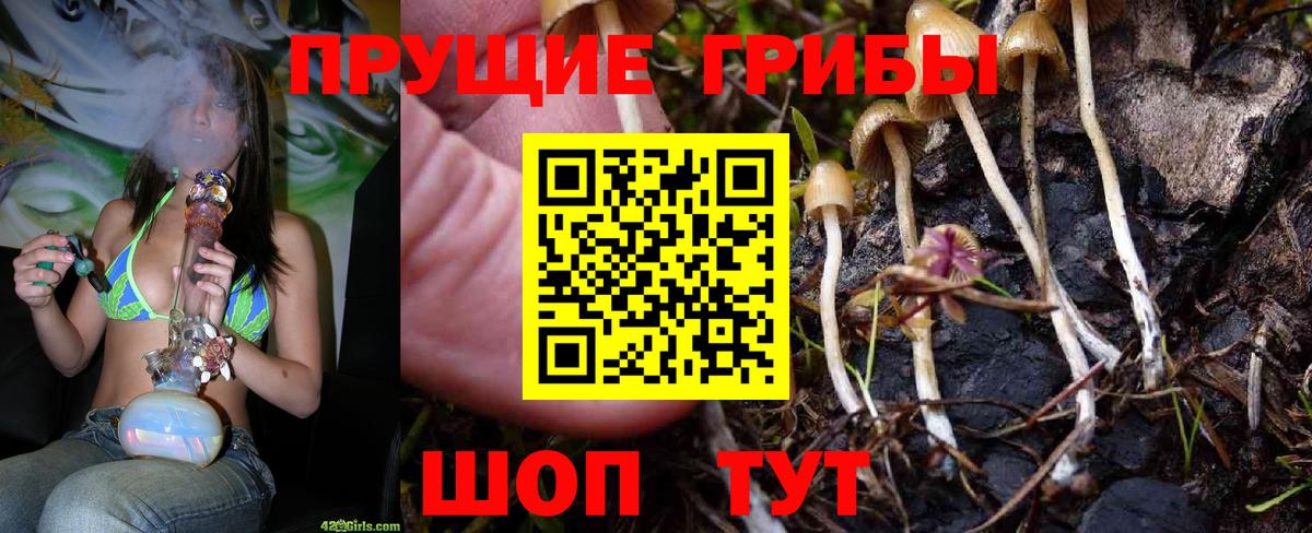 Галлюциногенные грибы Psilocybine cubensis  Вход с VPN  Галлюциногенные грибы ЛСД  Абакан 